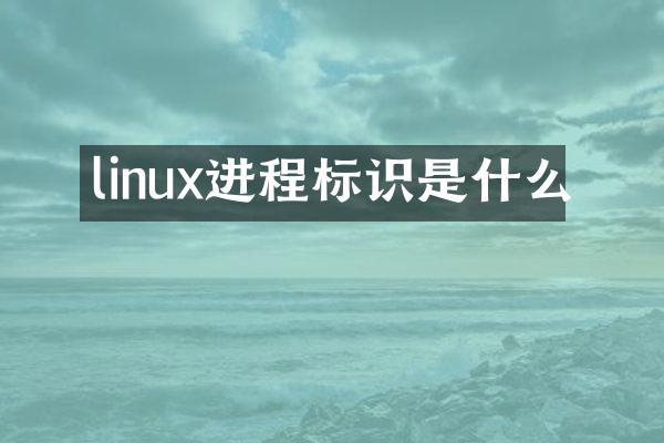 linux进程标识是什么