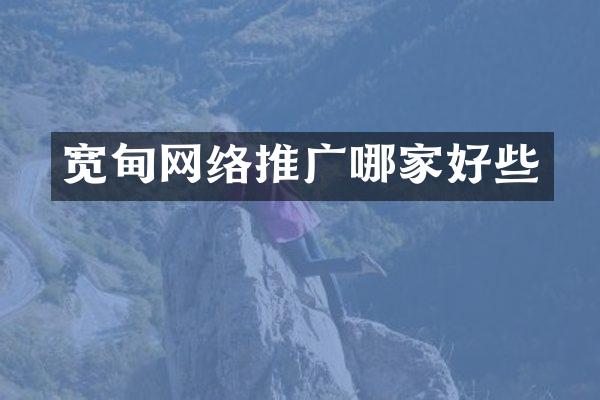 宽甸网络推广哪家好些