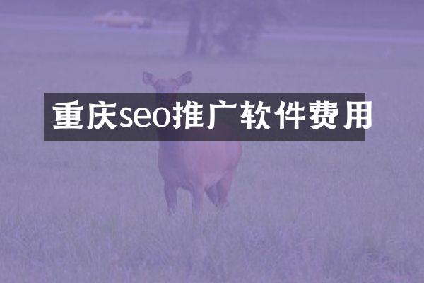 重庆seo推广软件费用
