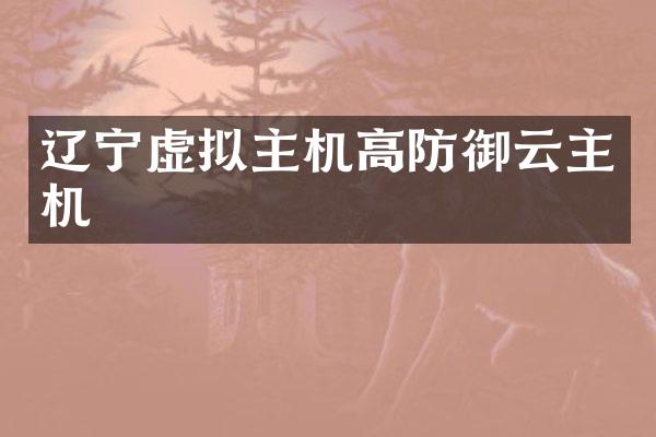 辽宁虚拟主机高防御云主机