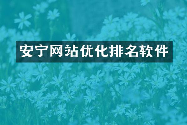 安宁网站优化排名软件
