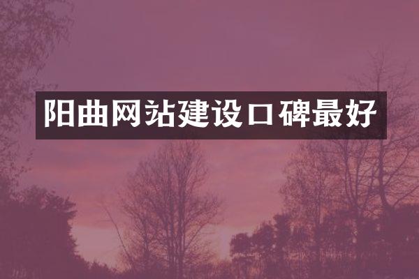 阳曲网站建设口碑最好