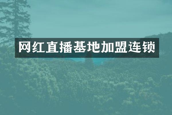 网红直播基地加盟连锁