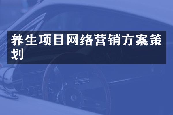 养生项目网络营销方案策划