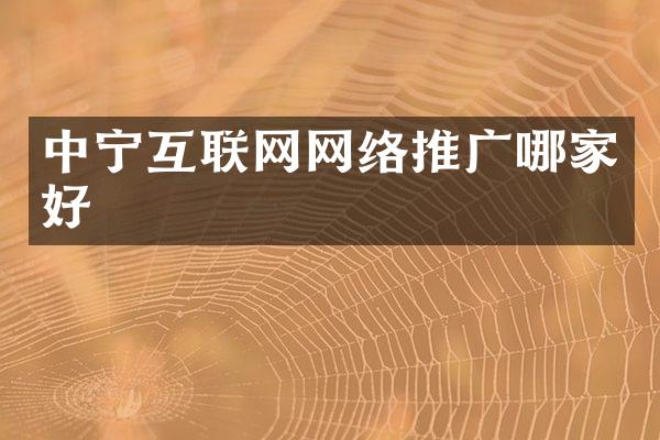 中宁互联网网络推广哪家好
