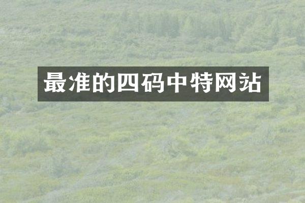 最准的四码中特网站