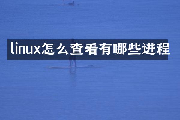 linux怎么查看有哪些进程
