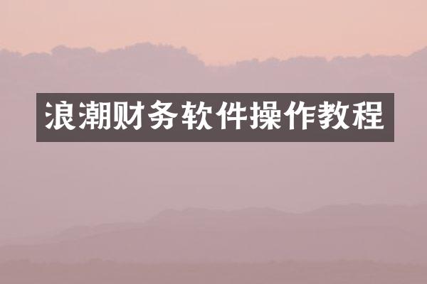 浪潮财务软件操作教程