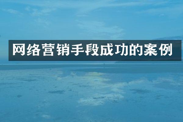 网络营销手段成功的案例