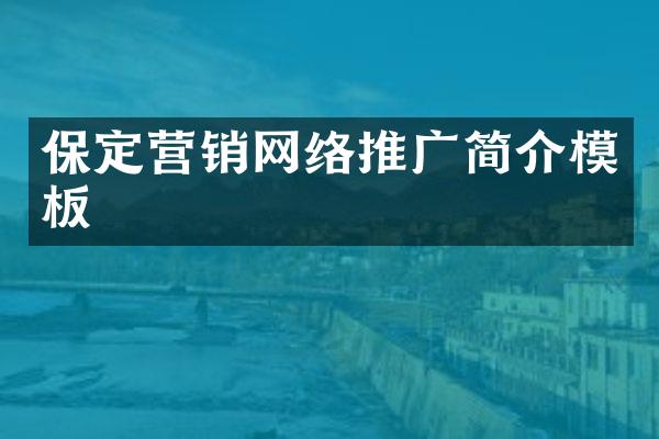 保定营销网络推广简介模板