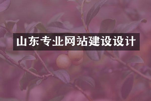 山东专业网站建设设计