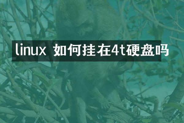 linux 如何挂在4t硬盘吗