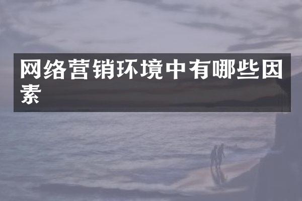 网络营销环境中有哪些因素