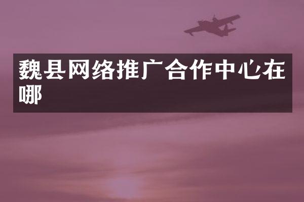魏县网络推广合作中心在哪