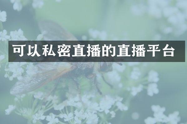 可以私密直播的直播平台