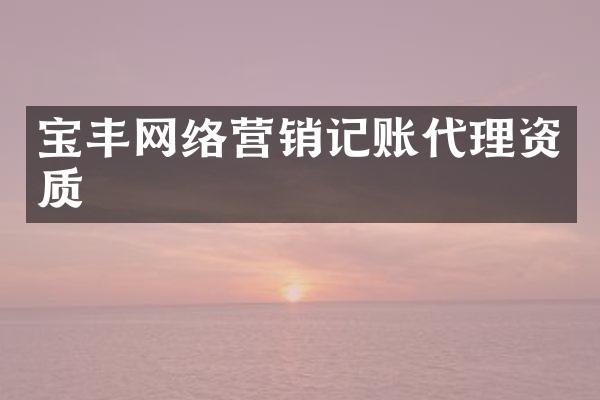 宝丰网络营销记账代理资质