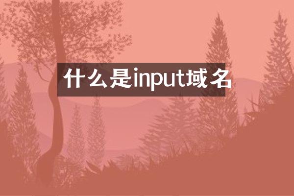 什么是input域名