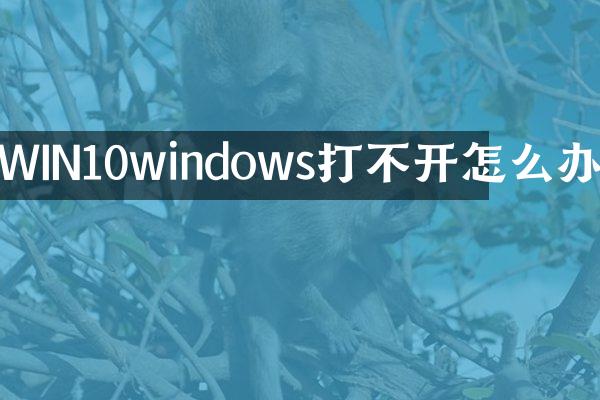 WIN10windows打不开怎么办