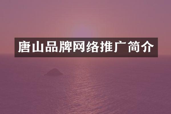 唐山品牌网络推广简介