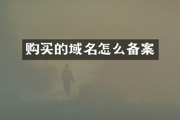 购买的域名怎么备案
