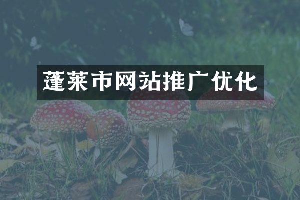 蓬莱市网站推广优化