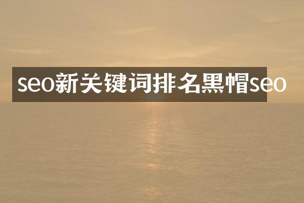 seo新关键词排名黑帽seo