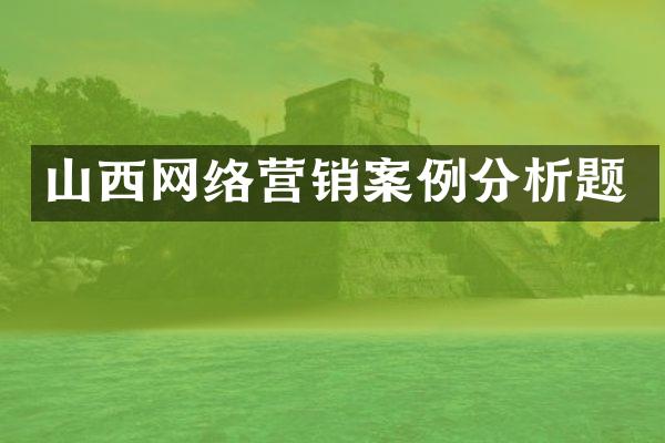 山西网络营销案例分析题