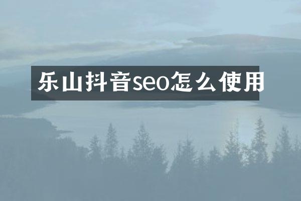乐山抖音seo怎么使用