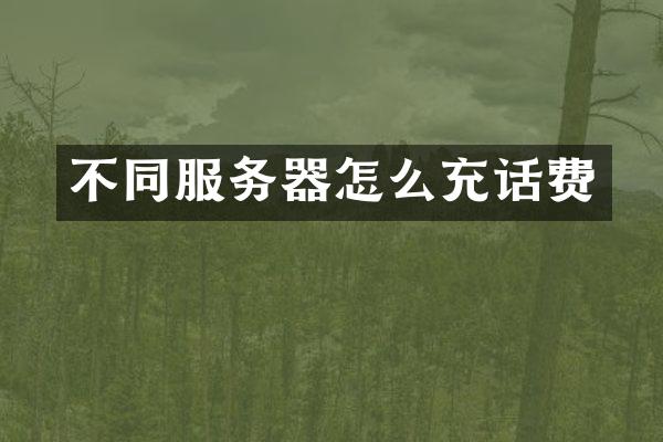 不同服务器怎么充话费