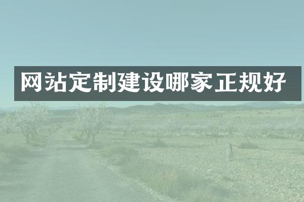 网站定制建设哪家正规好