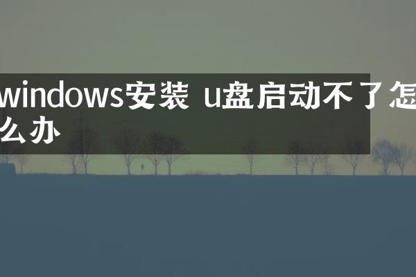 windows安装 u盘启动不了怎么办