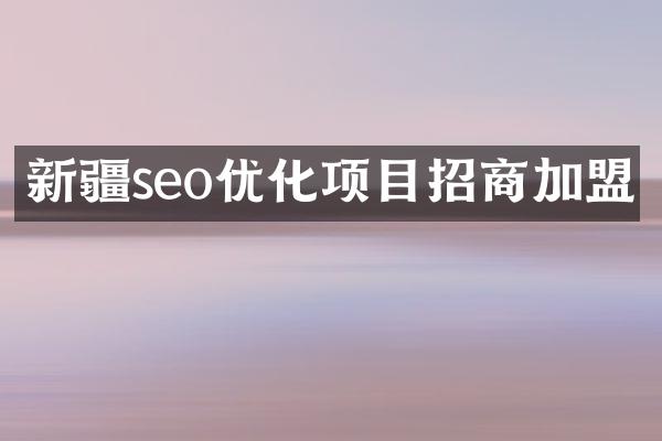 新疆seo优化项目招商加盟