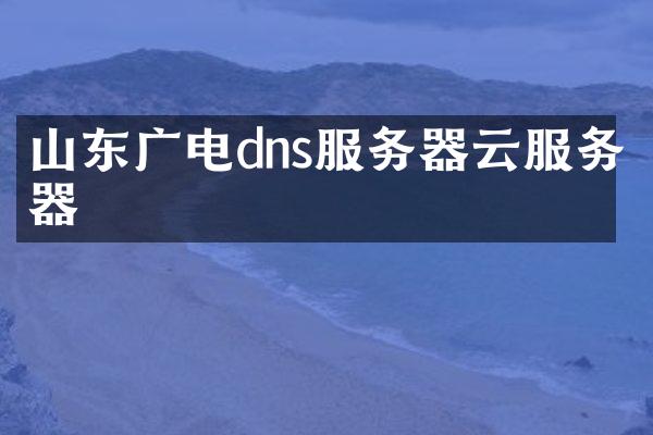 山东广电dns服务器云服务器