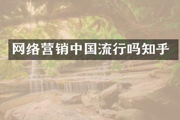 网络营销中国流行吗知乎