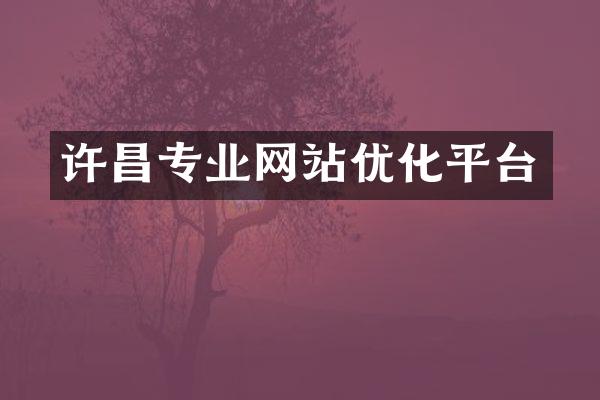 许昌专业网站优化平台
