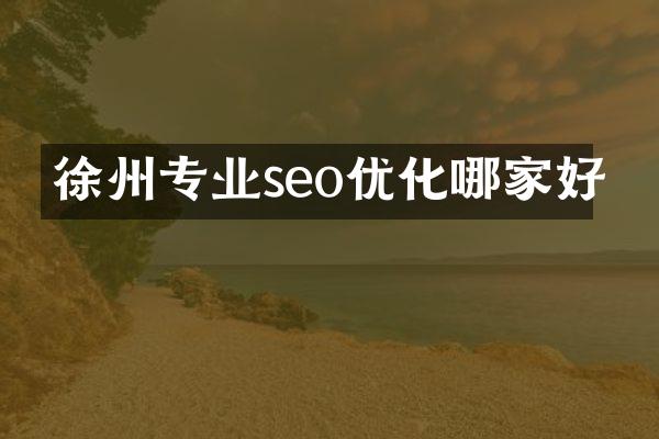 徐州专业seo优化哪家好