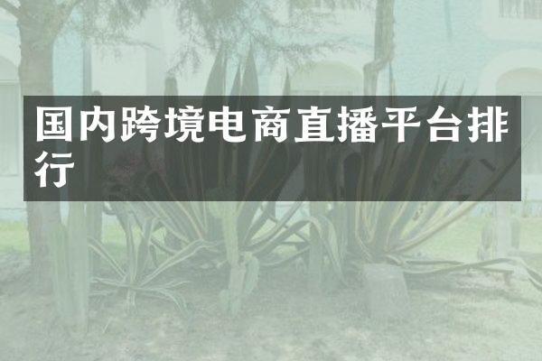 国内跨境电商直播平台排行