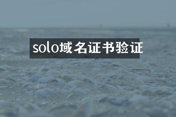 solo域名证书验证