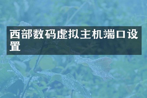 西部数码虚拟主机端口设置