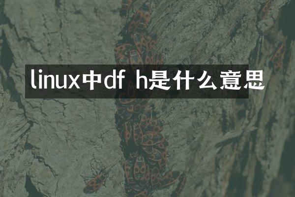 linux中df h是什么意思