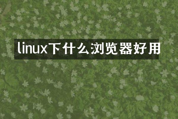 linux下什么浏览器好用
