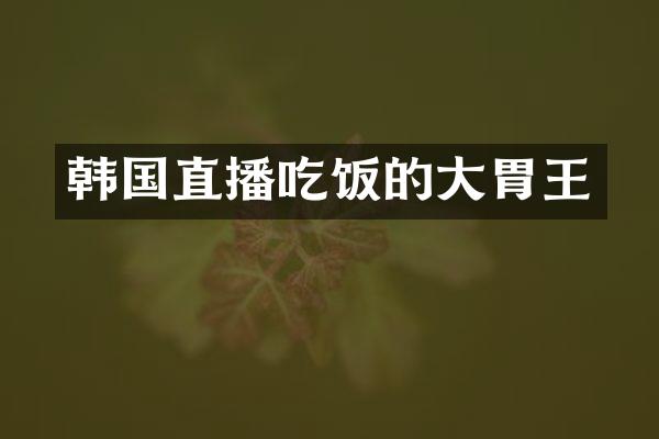 韩国直播吃饭的大胃王