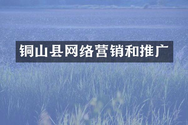 铜山县网络营销和推广