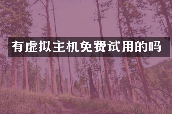 有虚拟主机免费试用的吗