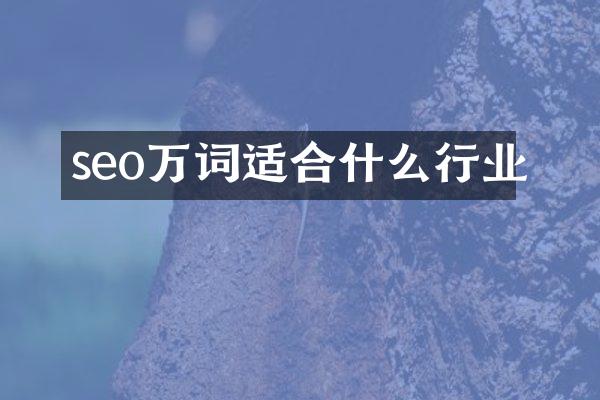 seo万词适合什么行业