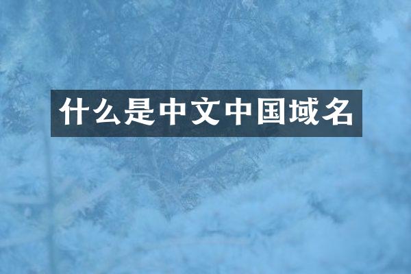 什么是中文中国域名