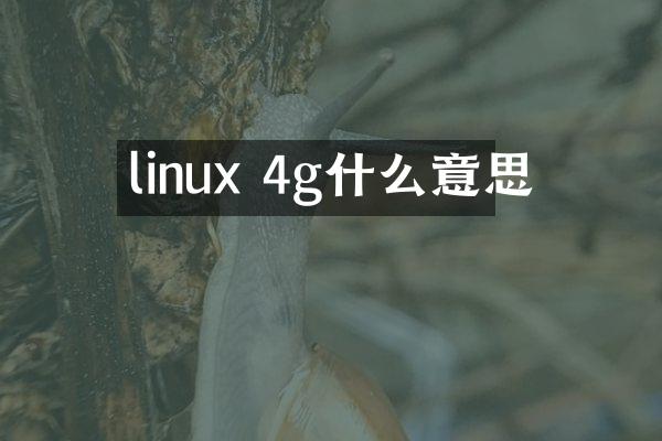 linux 4g什么意思