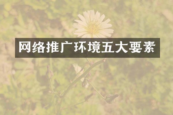 网络推广环境五大要素