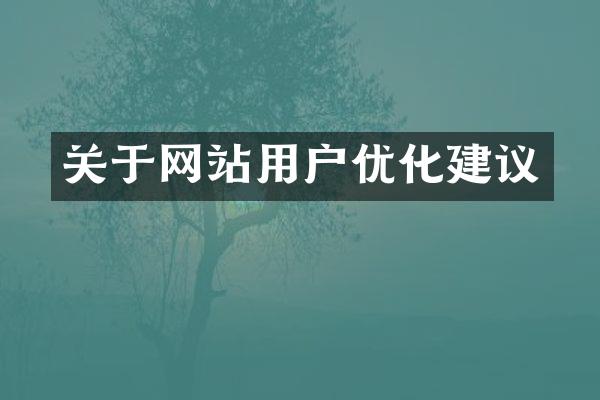 关于网站用户优化建议
