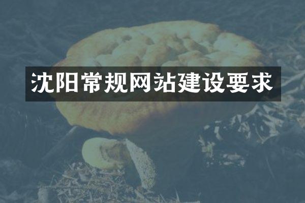沈阳常规网站建设要求